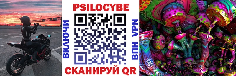 Галлюциногенные грибы Psilocybe цены наркотик Верхний Тагил